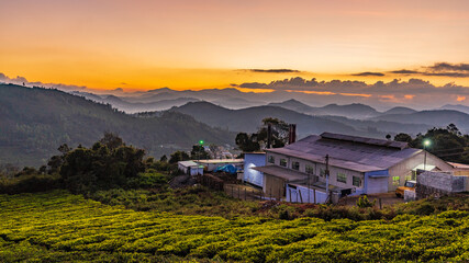 Ooty hills
